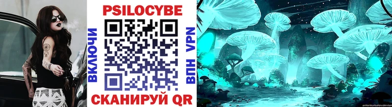 где можно купить   Невельск  kraken ссылки  Псилоцибиновые грибы Psilocybine cubensis 